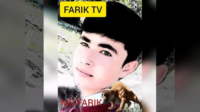 Ms Farik dili bechora