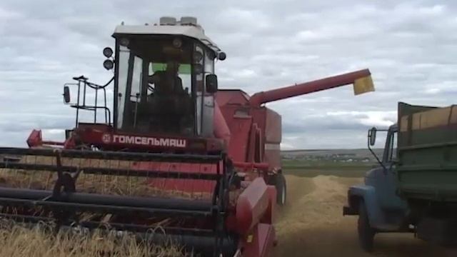 Уборочная. 2000 год. Комбайн "Гомсельмаш" КЗР-10 "Полесье Ротор" смотреть онлайн