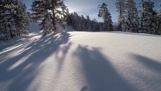 Когда лучше отдыхать? смотреть онлайн