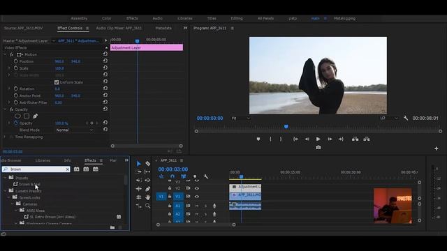 5 Easy Steps To Get INSTANT CINEMATIC Look( For Beginners ) | Adobe Premiere pro
