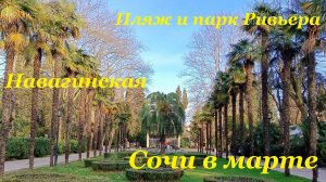 Сочи в марте☀ / Навагинская🌴 / Пляж🏖 и парк Ривьера🌳