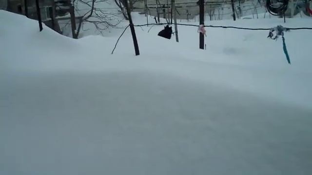 Котэ и много снега смотреть онлайн