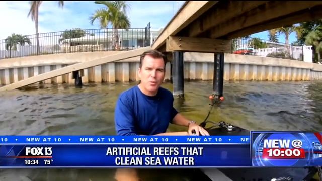 Mark Wilson's "Mak'n Waves: The Clean Machine" on Fox13 w/Ocean Habitats смотреть онлайн