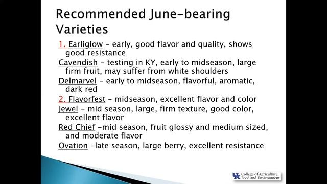 Strawberries смотреть онлайн