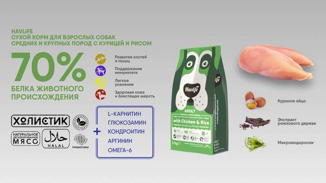 1 корм смотреть онлайн