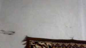 Дом в Лушино Сакского района Крыма.