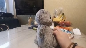 Как правильно ухаживать за беби Басиком