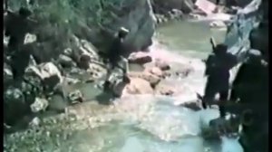 Архив ГТРК "Кузбасс". Территория закона (2001)