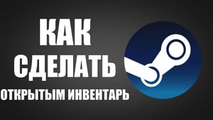Как сделать открытым инвентарь в Steam