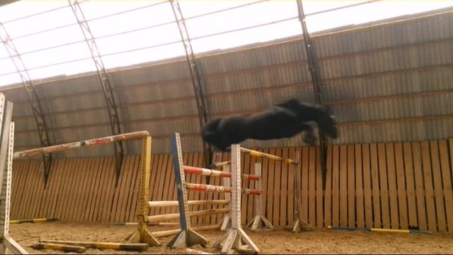 Конкурент2012 смотреть онлайн