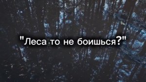 Мишкина  война