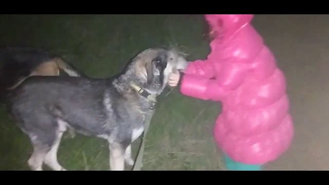 АТАКА СТАФА, ВОСПИТАНИЕ УМКИ смотреть онлайн