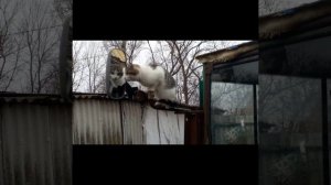 Ну ничего не понимаю!🤣