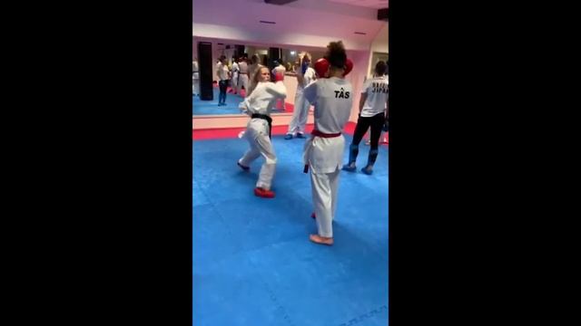 KARATE WKF SEMINAR COACH SALAH MESNAOUI STOCKHOLM 2019 смотреть онлайн