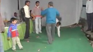 PORNOGORE DANCE