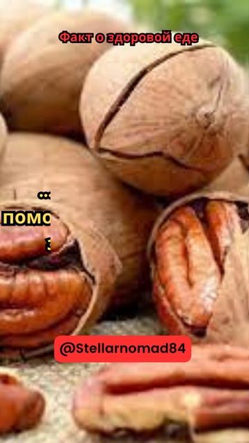 Орехи пекан богатый источник #shortvideo #short #shorts смотреть онлайн