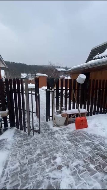 WhatsApp Video 2025-03-12 at 16.12.01