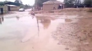 Сели мохи капи дар навди 18 05 2018