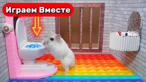Умный Хомяк сбегает из МИЛОЙ ТЮРЬМЫ с ПОПИТО и Ловушками ! Видео для детей