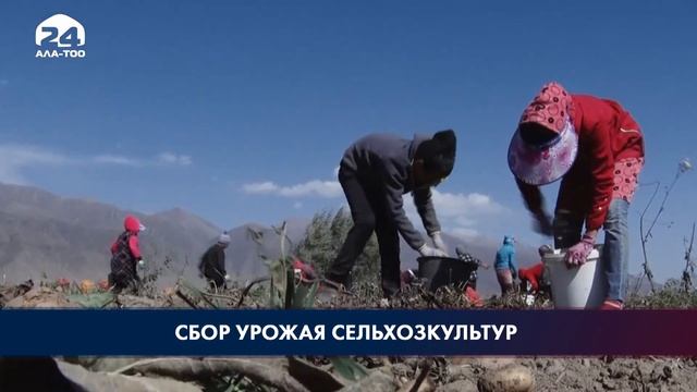 Бакыт Торобаев провел совещание по вопросу проведения осенне-полевых работ смотреть онлайн