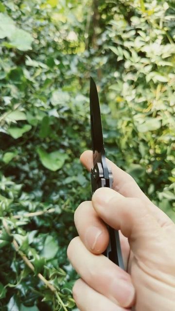 Frame Lock Friday with the Medford Slim Midi! #youtubeshorts #shorts #youtubeshort #short смотреть онлайн