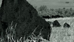 ХАКАССКАЯ ЭСТРАДА КАТЯ КИЛИЖЕКОВА (Iӌем чирi) ЭТНО POP