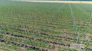 Аграрное предприятие, сельское хозяйство #проморолик #промовидео