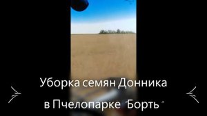 Пчелопарк Борть - Уборка семян донника