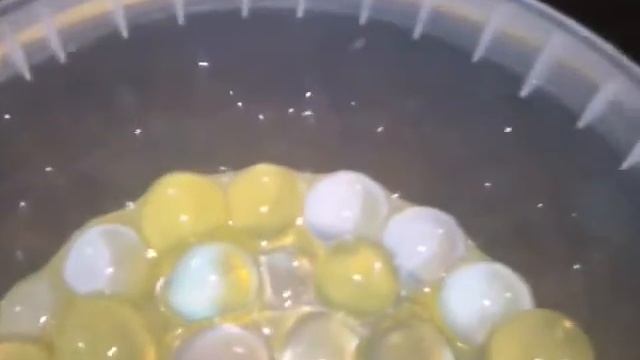 Выращиваю арбизы смотреть онлайн