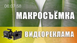 Съемка растений в лаборатории макрообъективом