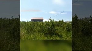 Продам зем. уч-к Нижегородская обл., Богородский р-н, д. Березовка, 12 сот. (8-920-053-09-28 Сергей