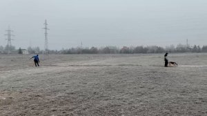 Этот видеоролик нам прислали ребята, которые совсем недавно стали приходить в приют