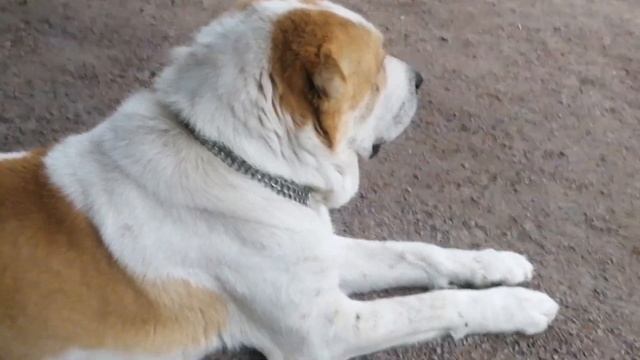 и грянул гром)))) смотреть онлайн