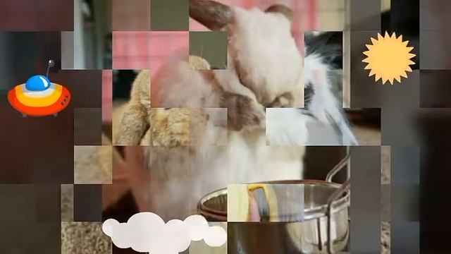 MAKAKASHOW#2 милые зайцы смотреть онлайн