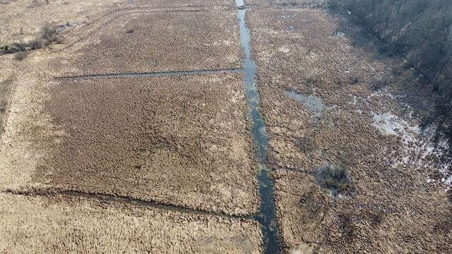 Река облёт через лесополосу