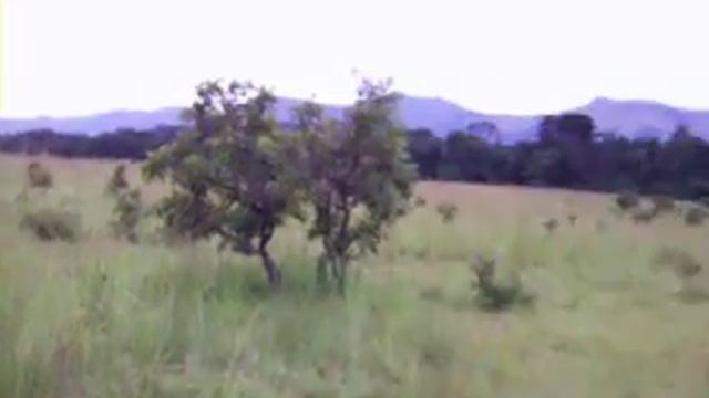 Bungalo Bill смотреть онлайн