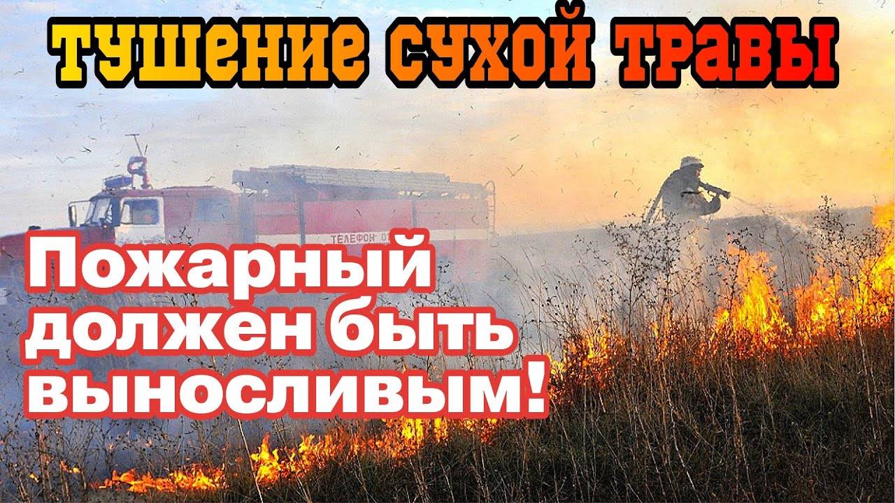 ПОЖАРНЫЕ ТУШАТ ТРАВУ  Пожарный должен быть выносливым   НЕ ЖГИ ТРАВУ смотреть онлайн