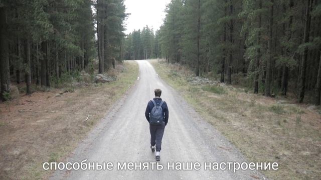 Почему мы же слушаем музыку? | Wondershare Filmora смотреть онлайн