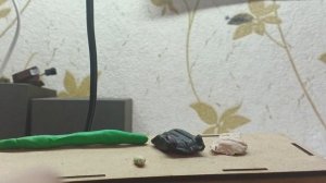 лепка