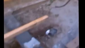 Монолитная баня 6 из Опилкобетона!