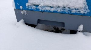 ЗИМОВКА ПЧЕЛ ПОД ОТКРЫТЫМ НЕБОМ В УЛЬЯХ ИЗ ППС LYSON. ПЧЕЛА КАРНИКА ТРОЙЗЕК 1075. ЛЕСНАЯ ПАСЕКА.