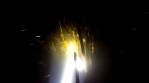 Подводная охота осенью на Псле