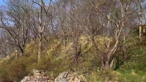За один день по Калининградской области - руины замка Бальга и берег Калининградского залива