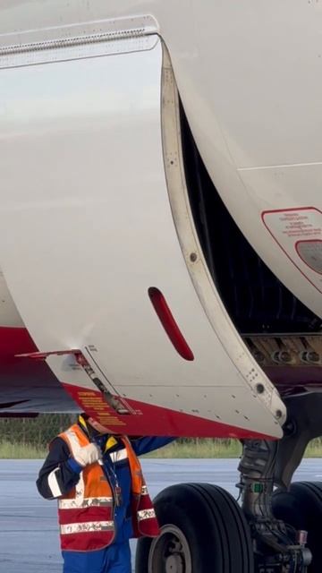 Закрытие багажного отсека Airbus смотреть онлайн