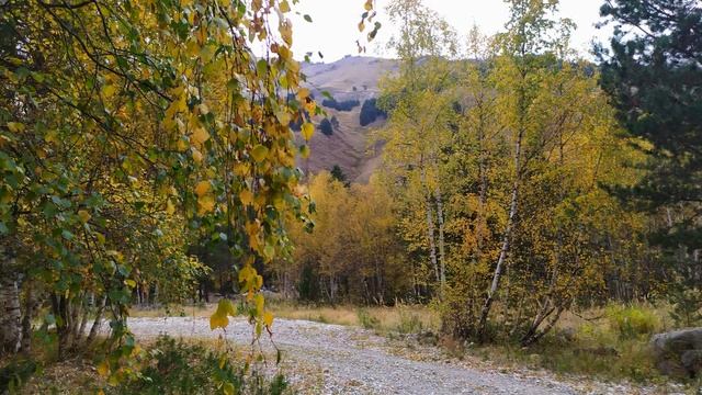 Приэльбрусье 2020 - ''ДАВАЙТЕ ВОСКЛИЦАТЬ'' - АЗАУ Долина 27 09 20 смотреть онлайн