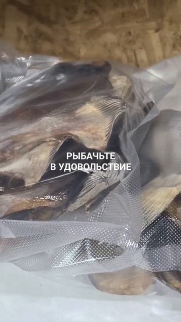 Вяленый ёрш отправился в Колпино.