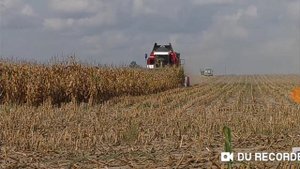 Уборка  кукурузы, пашанье поле под песню Вася Вася тракторист!