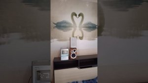 колонки Panasonic SA PM41 к муз.центру Panasonic SA-PM91D