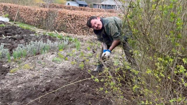 Ramsløgssalt & vlog fra kolonihaven смотреть онлайн