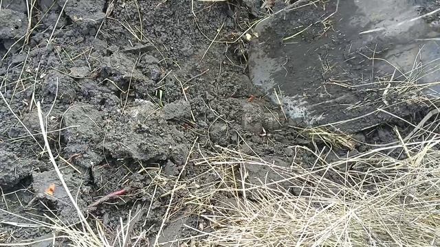 отличный Коп! смотреть онлайн